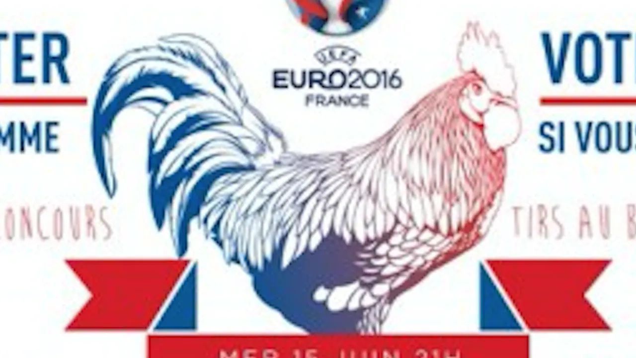 DIFFUSION DE L'EURO 2016 - FRANCE VS ALBANIE