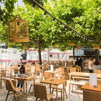 Démesure sur Seine