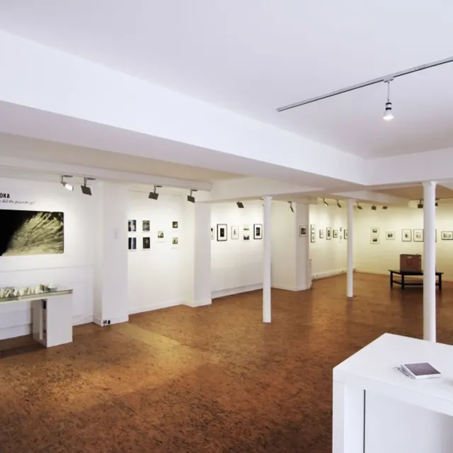 Galerie V
