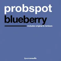 Probspot