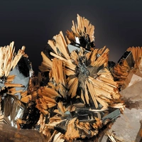 Galerie de Minéralogie et de Géologie