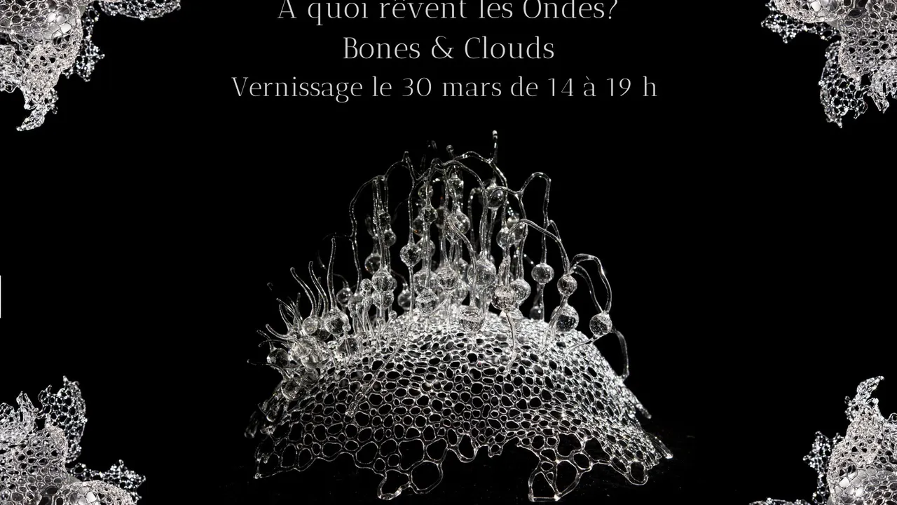 À quoi rêvent les ondes? Bones & Clouds