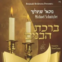 Michoel Schnitzler
