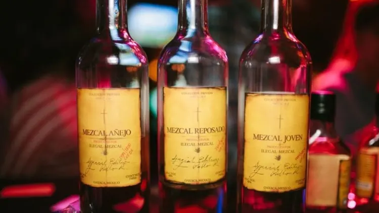 Dégustation Ilegal Mezcal