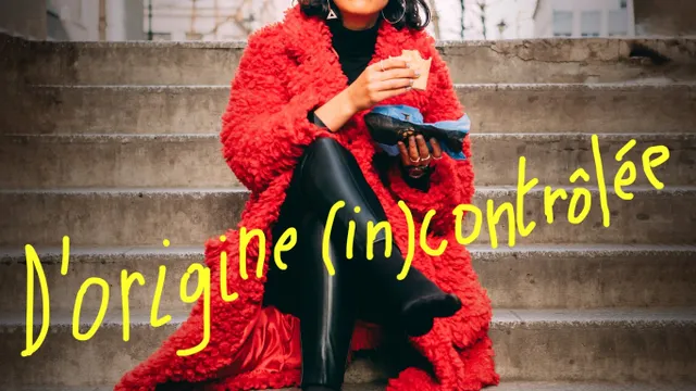 Imen Lahmar dans "D'origine (in)contrôlée"