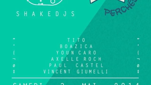 Shake DJs vs Chats Perchés