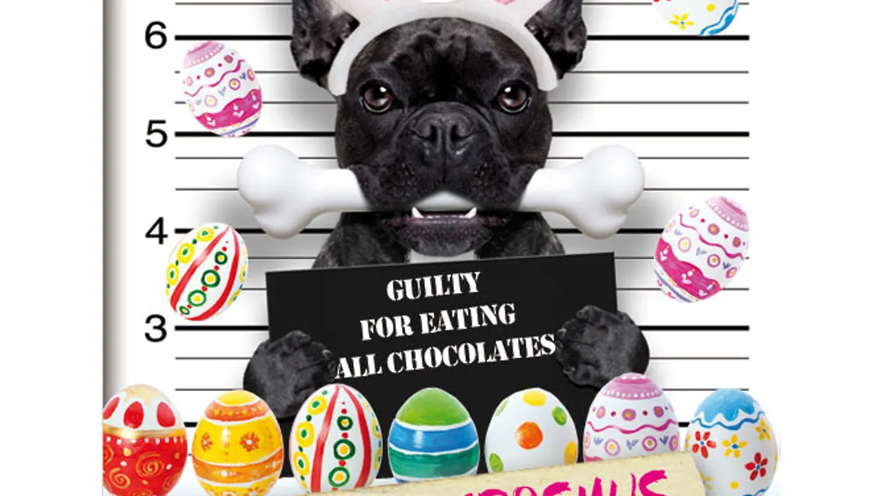 EASTER PARTY
