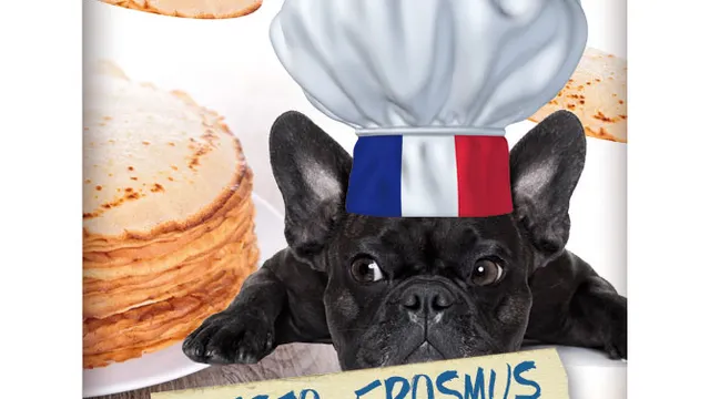 FRENCH PARTY