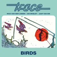 Trace