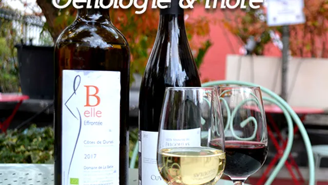 Le vin avec Adrien - Œnologie & more