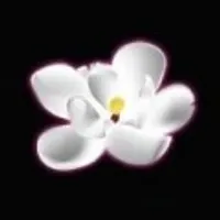 Julien M