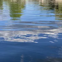 Vendla