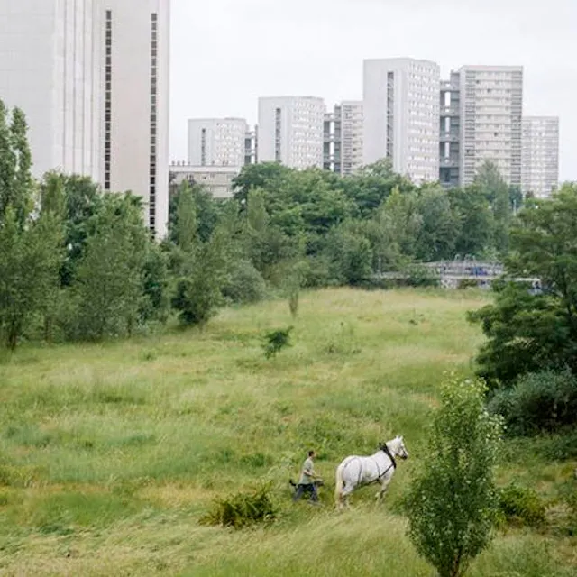 La Ferme du Bonheur N