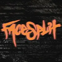 FaceSplit