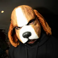 Beagle Bonnie