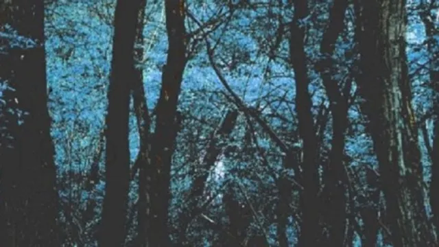 No Mountains • Sophie oZ • George Random // Supersonic - Gratuit