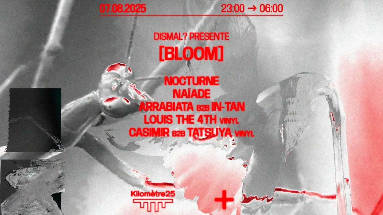 DISMAL? : LOUIS THE 4TH, ARRABIATA B2B IN-TAN, NOCTURNE