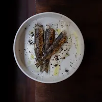 CODA
