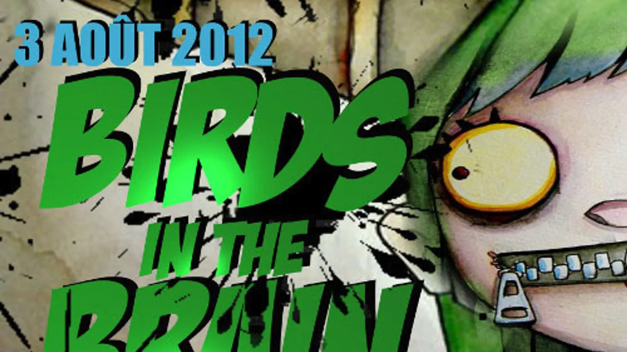 Birds in the Brain