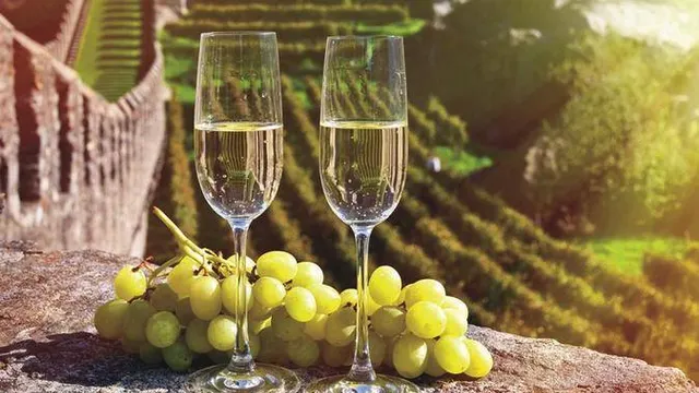 Voyage en Champagne : Reims & Epernay