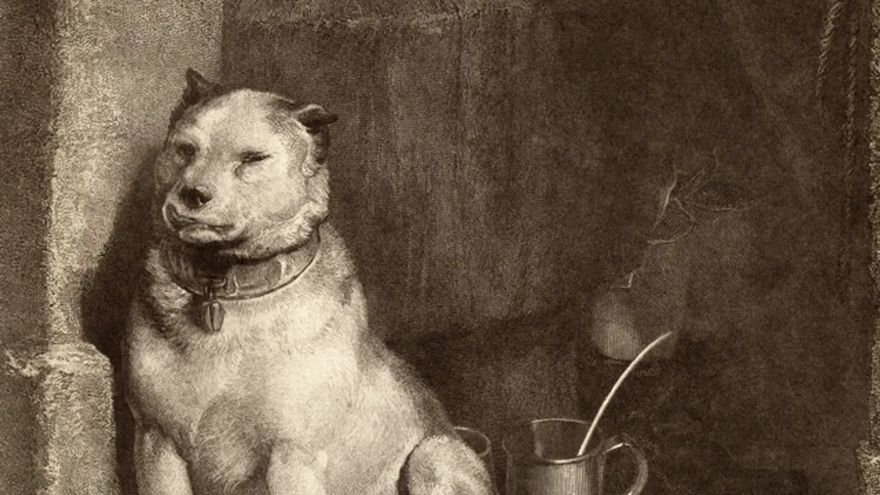 PAVLOV'S DOG
