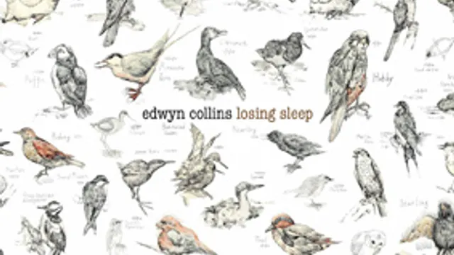 EDWYN COLLINS
