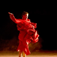 Resonancia(s) / Exposition de photographies de Stephen Bedrossian