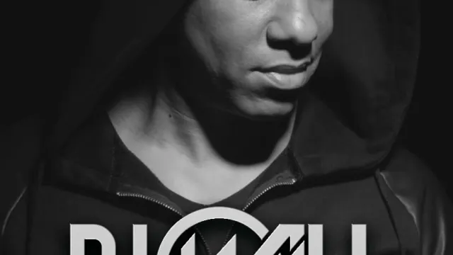 DJ WILL