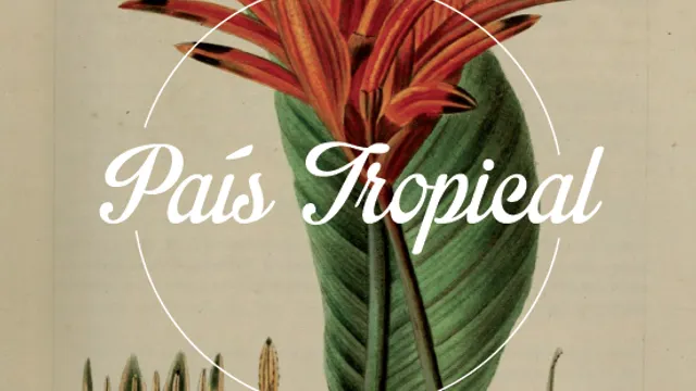 Pais Tropical Pigalle Carnaval