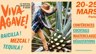 VIVA AGAVE, Festival des spiritueux d'agave