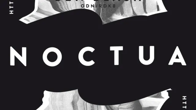 NOCTUA #001