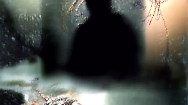 FÆTHER : Evanora Unlimited, Lili Castiglioni, Palmistry, ...