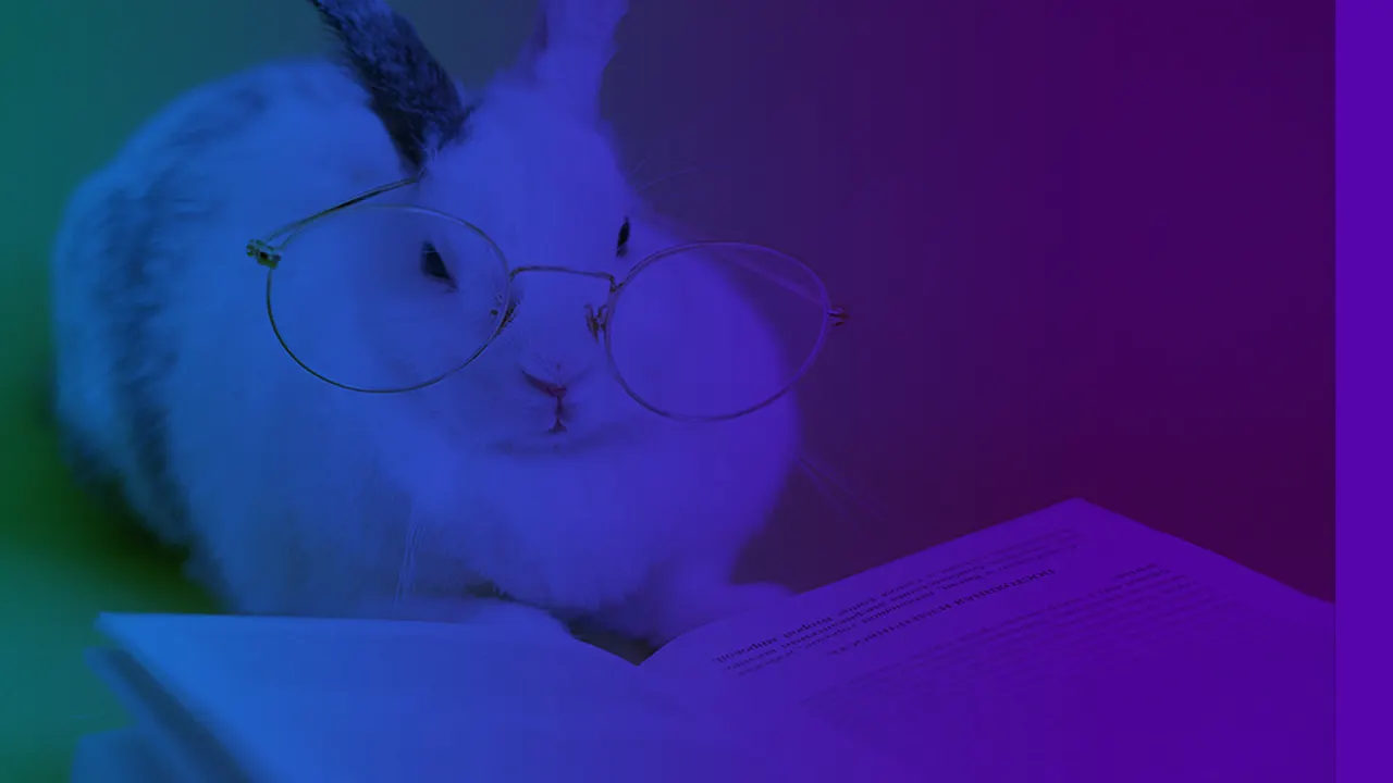 [FABRIQUE] Arpentage : "Les Garennes de Watership Down" de Richard Adams