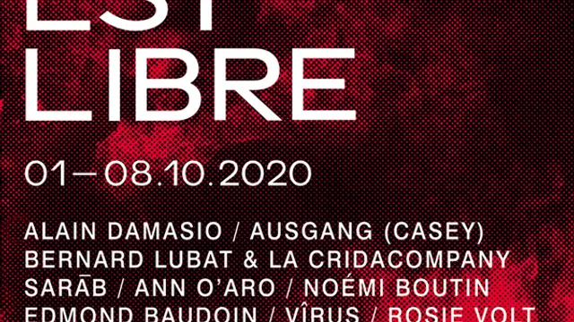 Festival La Voix est Libre 2020 // CO-LAPSUS – D’âmes mêlées à Damasio