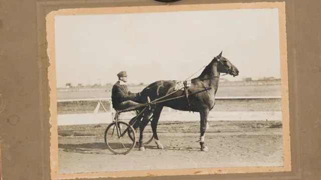 Limblifter