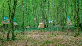 ÊTRE COLLECTIF, de la convivialité par nature