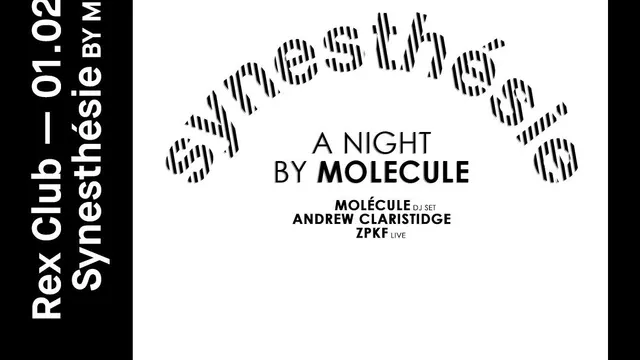 Synesthesie: A Night by Molecule with Andrew Claristidge & ZPKF