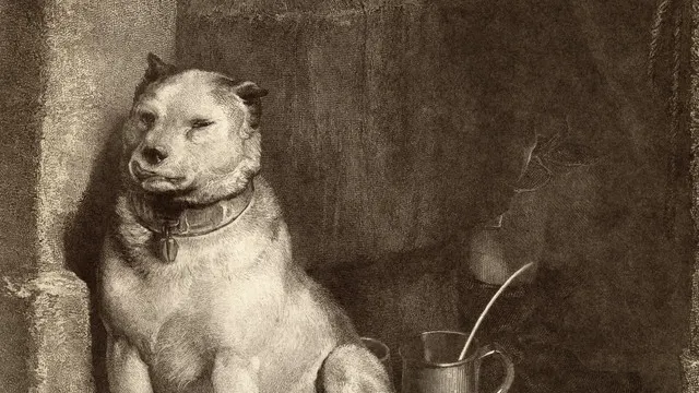 Pavlov's Dog (usa)