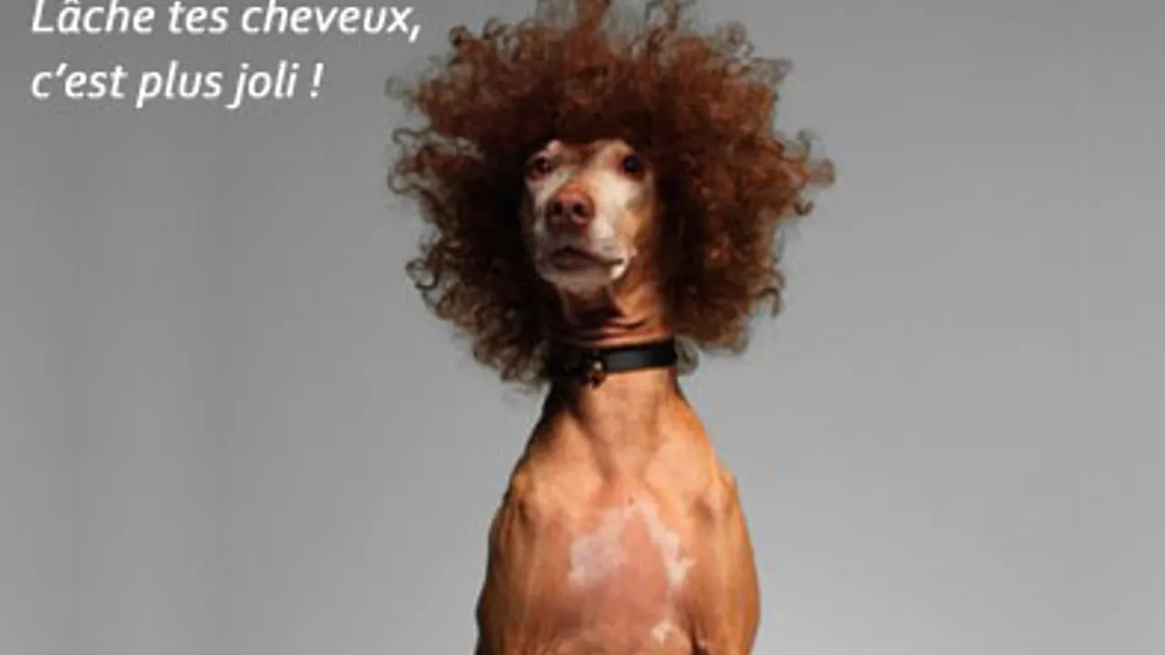 Haircut stratagem