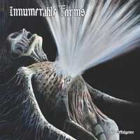 Innumerable Forms