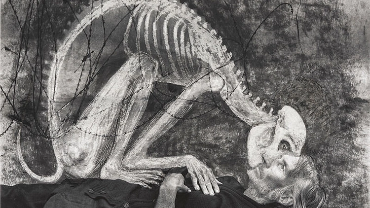 Roger Ballen et Hans Lemmen, Unleashed