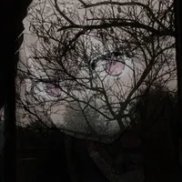 dxmelia.wav