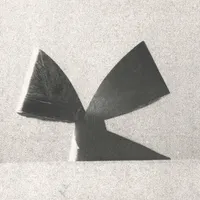 Flaer