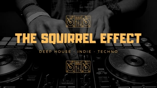 THE SQUIRREL EFFECT ◈ DJ SET