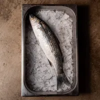 Iodé Sushi