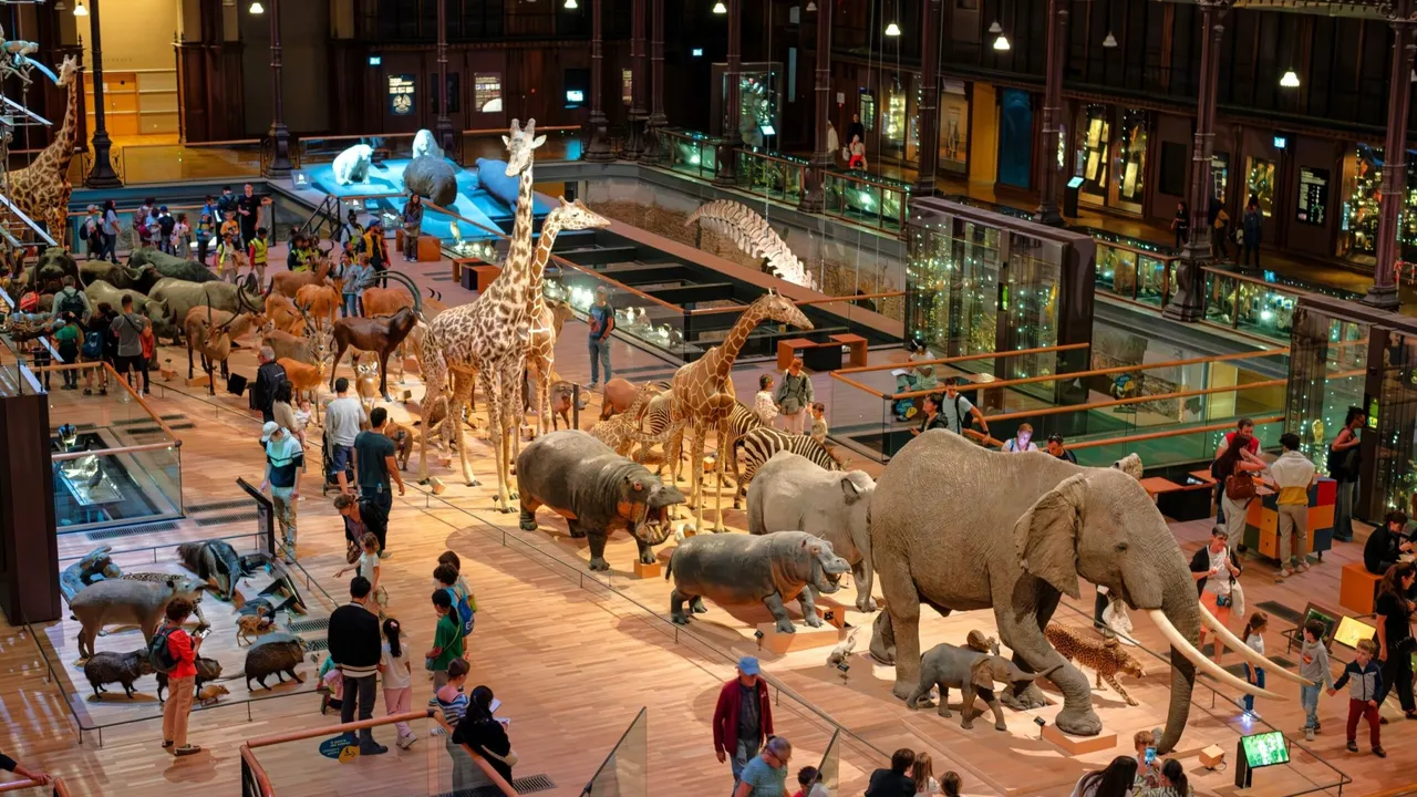 Voyage extraordinaire à la Galerie de l’Évolution
