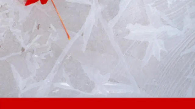 Apéro Canadien !
