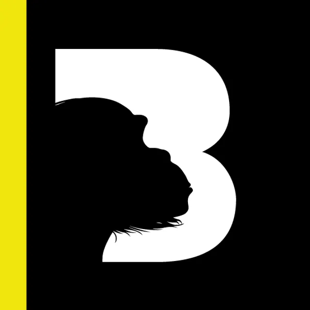 BIG B