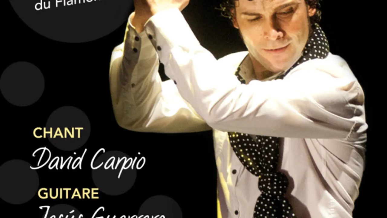 Andrés PENA, Trio Flamenco d'Andalousie