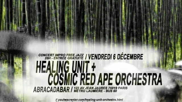Healing Unit + Cosmic Red Ape Orchestra